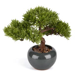 9.5 Inch Artificial Bonsai Tree with Ceramic Pot - Decorative Fake Plant for ... Green Plant