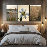 3pcs Pampas Grass, White Flower, Reed LeavesC  Wall Art Canvas Framed 50x70cm Pampas Grass