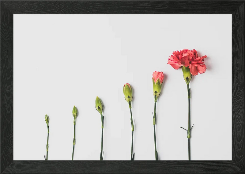 Framed wall art with red carnation flowers and green stems on a light background