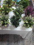 8 Faux Plants 6"-8" assorted gray plaster 3" pots greenery decor Green Plant