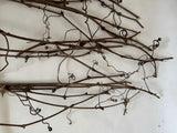 Huge Lot Of Grapevine tendrils & twigs Dried Natural floral Craft & small pets Dried Flower
