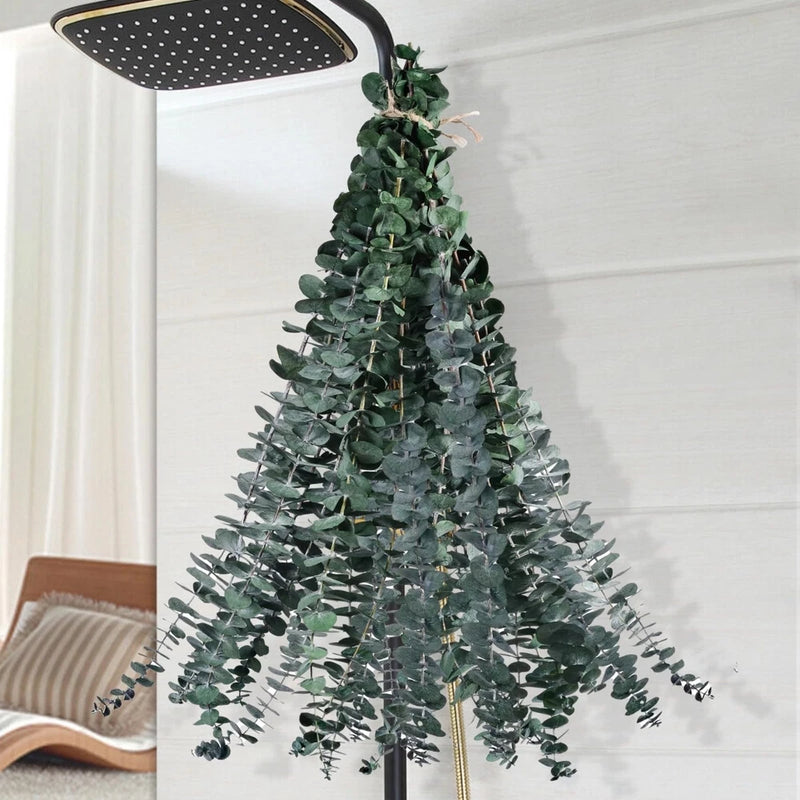 12PCS Dried Eucalyptus for Shower Hanging - 17'' Real Large Preserved Green Bouquet