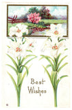 Best Wishes Lilies and Landscape Vintage Postcard Series 323 A 0539 Lily