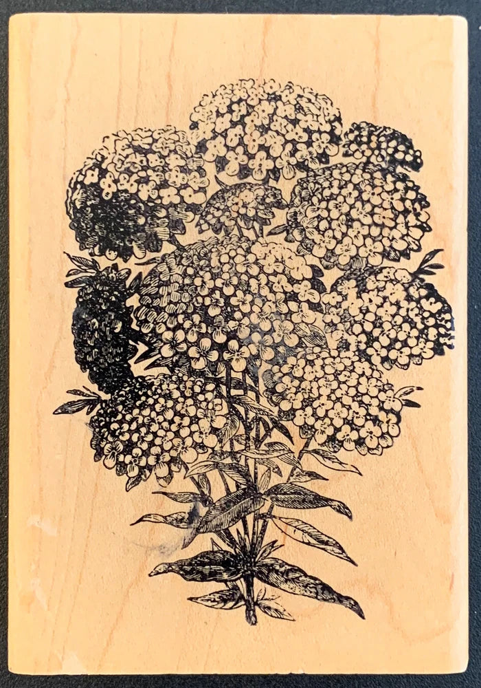Rubber Stamps Of America Hydrangea Flower Rubber Stamp Hydrangea