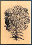 Rubber Stamps Of America Hydrangea Flower Rubber Stamp Hydrangea