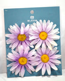 Daisy bloom spring floral 4 pc each Daisies