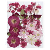 Dried Pressed Flowers Natural Leave Real Pressed Flowers Red Series Dried Flower