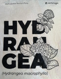 Portugal Hydrangea Flower T-Shirt WomenÕs Size Small White+Black 100% Cotton Hydrangea