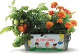 Seeds My First Garden Windowsill Grow Kit, Tomato and Marigold Seeds, Indoor Gar Garden Plants