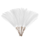 50 Pcs Faux Pampas Grass 52cm/20.5" Dried Pampas Grass Decor, White Pampas Grass