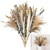 110 PCS Set Dried Pampas Grass Bunny Tails Dried Flowers Boho Flowers Home Decor Pampas Grass