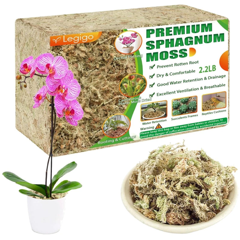 Orchid Repotting Moss - Versatile Gardening Moss Orchids