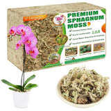 Orchid Repotting Moss - Versatile Gardening Moss Orchids