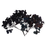 10g Mini Dried Hydrangea Flower Natural Pressed Flower Gradient Mist Blue Purple Dried Flower