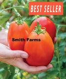 50+ Seeds Gladiator Tomato Juicy Easy to Grow Vegetable Garden Planting Garden Plants