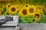 3D Field Yellow Sunflower Flower Wallpaper Wall Murals Removable Wallpaper 712 Sunflower