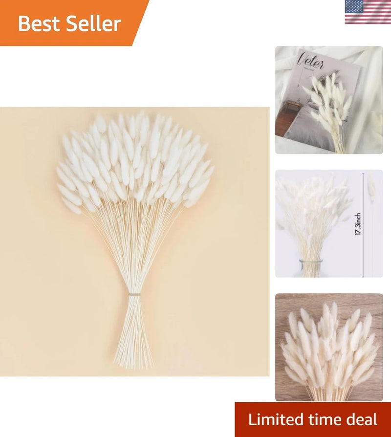 120PCS Dried Pampas Grass Spring Flowers, 17inch Bunny Tails Dried Flowers, H... Dried Flower