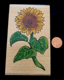 Rubber Stamp by Stamp Affair SUNFLOWER with Leaves Sunflower