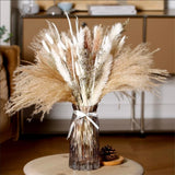 Pampas Grass Reeds Bunny Boho Farmhouse Flowers Pampas Grass
