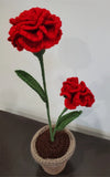 Handmade Red Carnation Flower in Soil Plant Pot Realistic Amigurumi Crochet Leaf Carnation