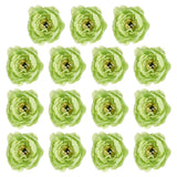15Pcs Artificial Flower Head Fake Flowers Heads Bulk Silk Peony Heads Green Peony
