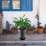4 Pcs Pots for Plants with Drainage Hole Garden Planter Gardening Garden Plants