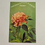 Indiana State Flower Peony Postcard Dexter Press Vintage Unposted Peony