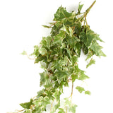 35" Long Green Artificial Poly Silk Draping Holland Ivy Bush Green Plant