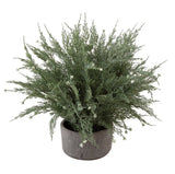 Artificial Cypress Pot Decorative Farmhouse Country Cottage Potted Plant 13ÓH Green Plant