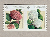 DIE CUT = HYDRANGEA FLOWERS = pair from COIL (ROLL) MNH Canada 2016 #2898ii Hydrangea
