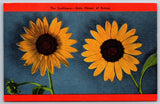 Kansas~The Sunflower State Flower Of KS In Red Frame~Vintage Linen Postcard Sunflower