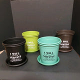 Nursery Seedling Plant Pots Indoor Outdoor W/ Drainage & Saucers 6.5" 8Pk Garden Plants