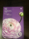 Canada Stamp - Booklet of 10 - 2023, RANUNCULUS RENONCULE # 3376 BK 809 MNH Ranunculus