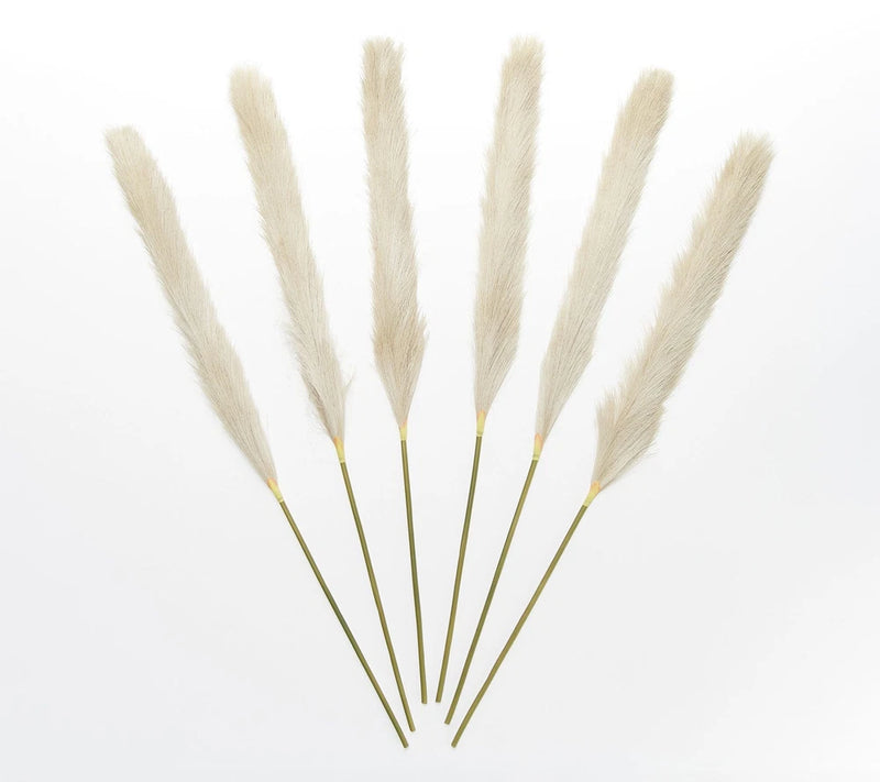 Inspire Me! Home Decor Set of (6) 32" Faux Pampas in Champagne Pampas Grass