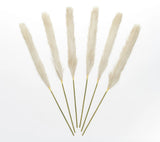 Inspire Me! Home Decor Set of (6) 32" Faux Pampas in Champagne Pampas Grass