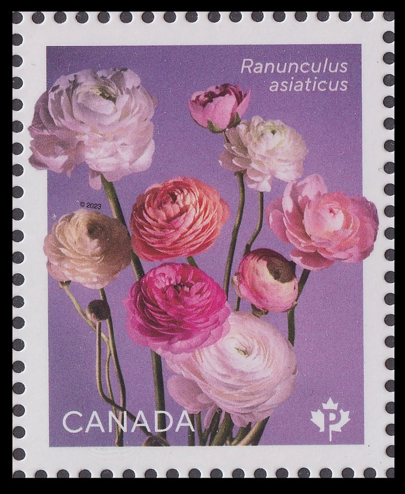 Canada 3372a Ranunculus Multiple P single (from sheet) MNH 2023 Ranunculus