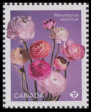 Canada 3372a Ranunculus Multiple P single (from sheet) MNH 2023 Ranunculus