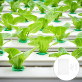 32 Mm Growing Sponges Soilless Hydroponic Ahope Garden Hydroponics Tray for Garden Plants
