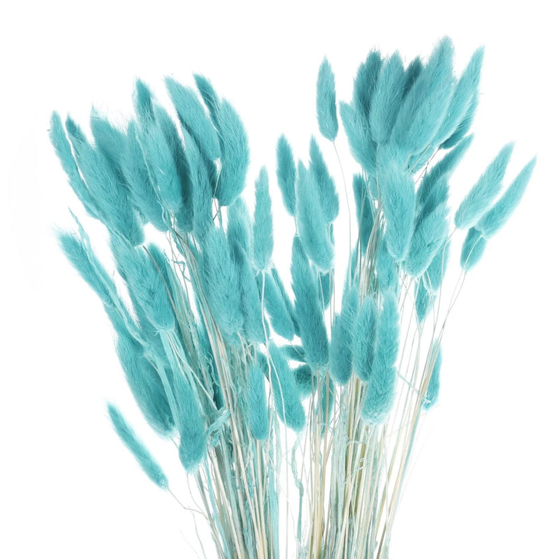 120pcs Natural Bunny Tails Dried Flowers 24" Mini Pampas Grass, Turquoise Blue Pampas Grass