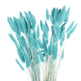 120pcs Natural Bunny Tails Dried Flowers 24" Mini Pampas Grass, Turquoise Blue Pampas Grass