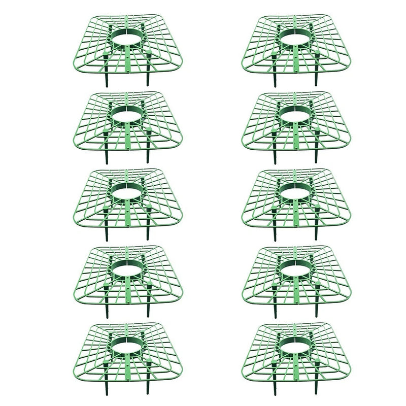 Long lasting Strawberry Supports for Optimal Plant  for PROTECTION Premium Garden Plants