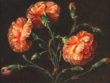 Oil painting still life flower Carnations-Johan-Laurentz handmade in oil canvas Carnation