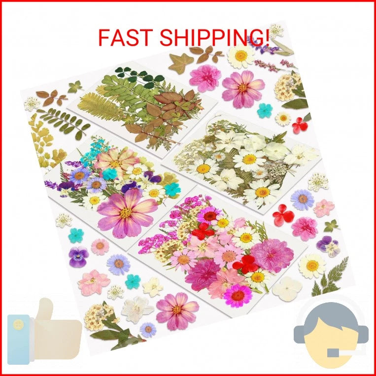 Pressed dried flower set with mixed blooms in purple, pink, yellow, and blue