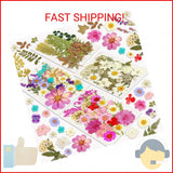 Dried Flowers, Resiners 100Pcs Pressed Flowers for Craft Purple Real Natural Dri Dried Flower