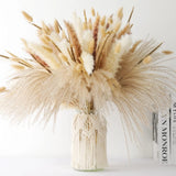 Dried Pampas Grass Decor - 120 Pcs Dried Flowers for Vase Pompas Grass, 17" Natu Dried Flower