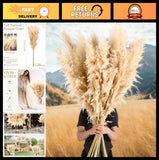 Natural Dried Pampas Grass Stems - 120 Count, Beige Tall Decor for Weddings, Boh Pampas Grass