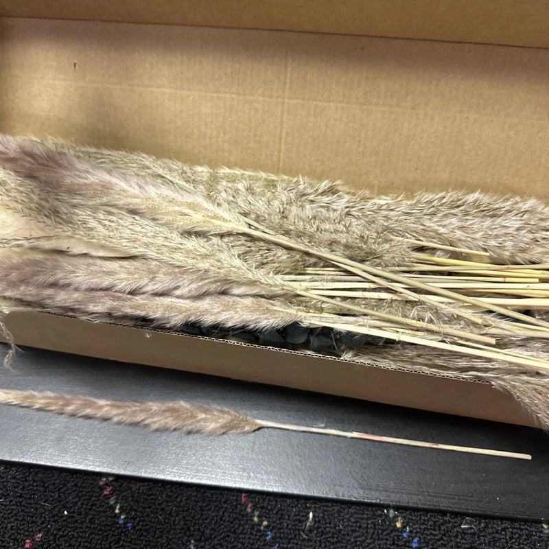 PCS Boho Decor, Fluffy Pompas Grass, Natural Dry Pampas Grass Box Pampas Grass