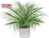 Hollyone Large Artificial Potted Plants Fake Palm Plants 16" Faux Green Plant Pl Green Plant