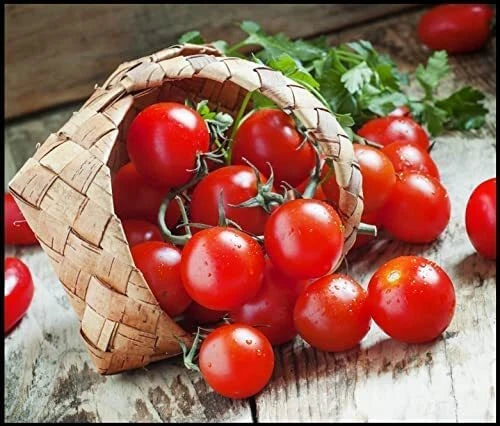 Garden Cherry Tomato Seeds for Planting - 300+ Seeds - Amazing Taste - Delicious Garden Plants