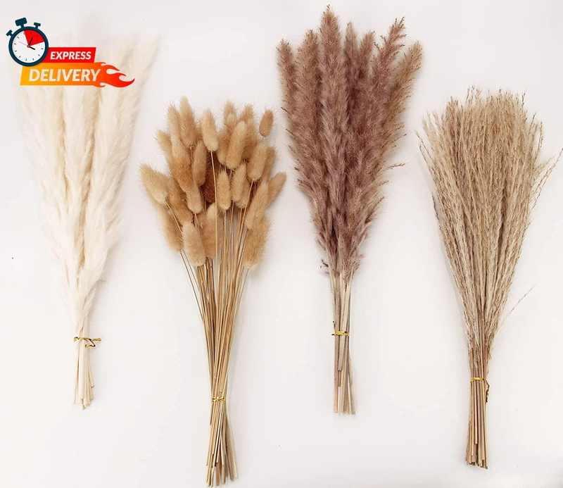 Dried Pampas Grass Decor, 100 Stems Pampas Grass Contains Bunny Dried Flowers Pampas Grass